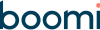 Boomi_2-Color_Logo_Positive